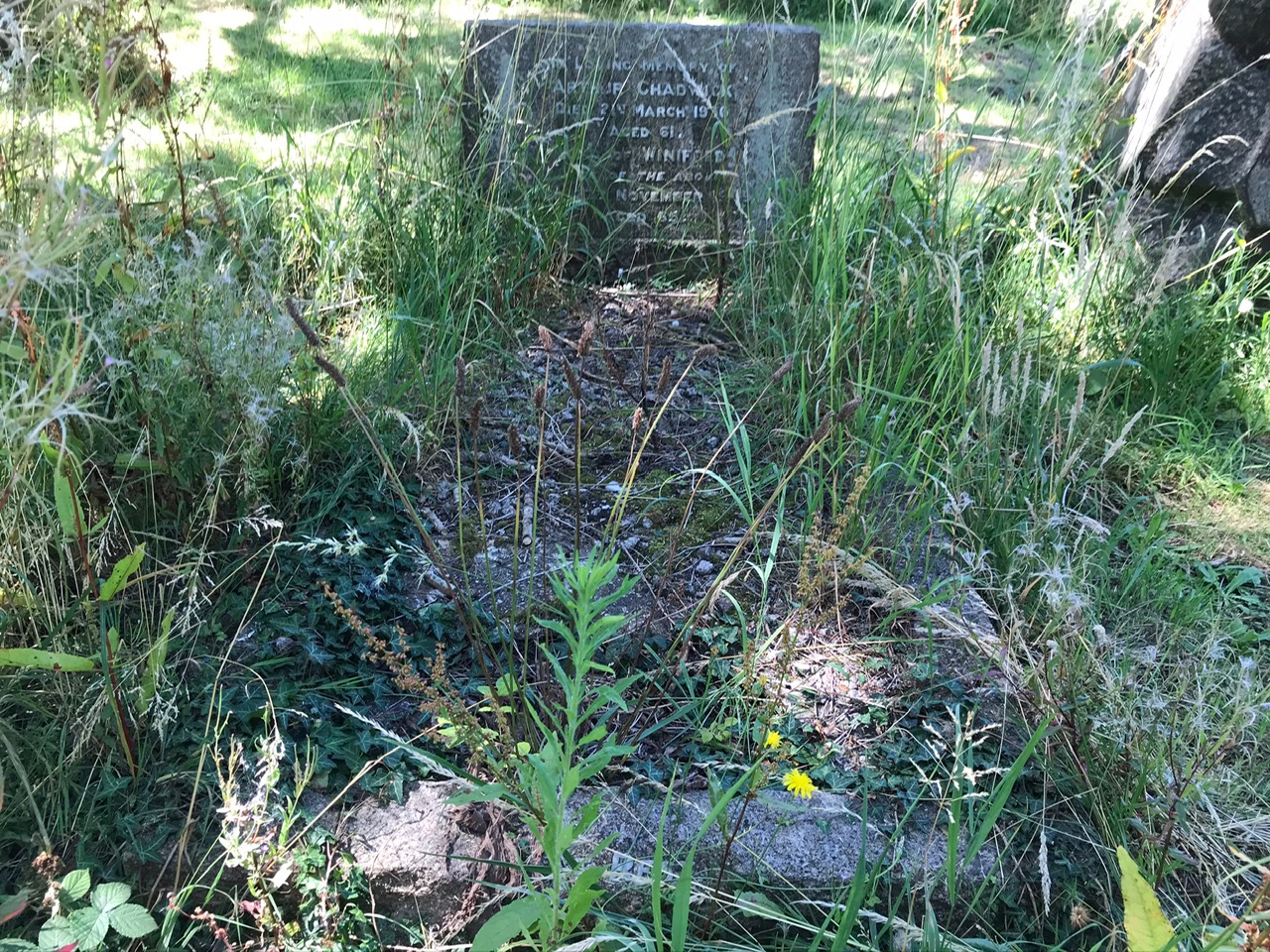 Arthur Chadwick Grave Before.jpeg