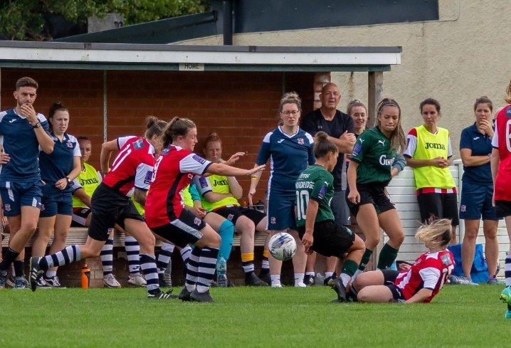 Argyle Action.jpeg