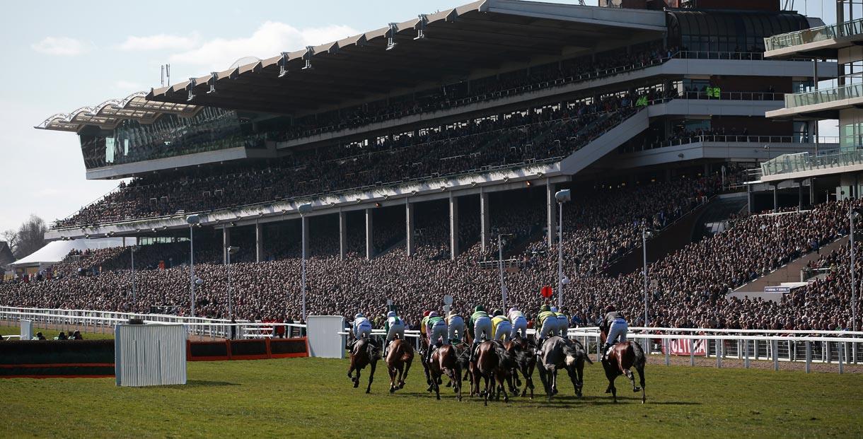 cheltenhamraces.jpg