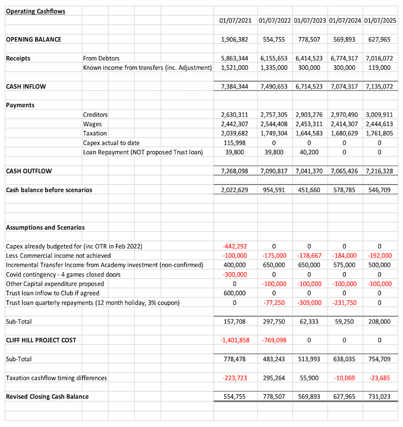 CHTG_Anual Cash Flow Forecast.png