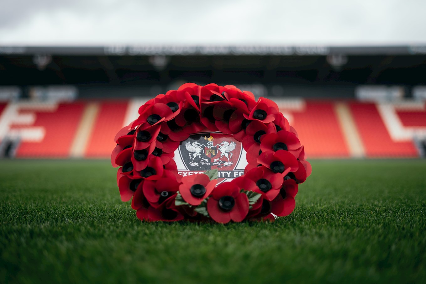 ECFCPoppy-3.jpeg