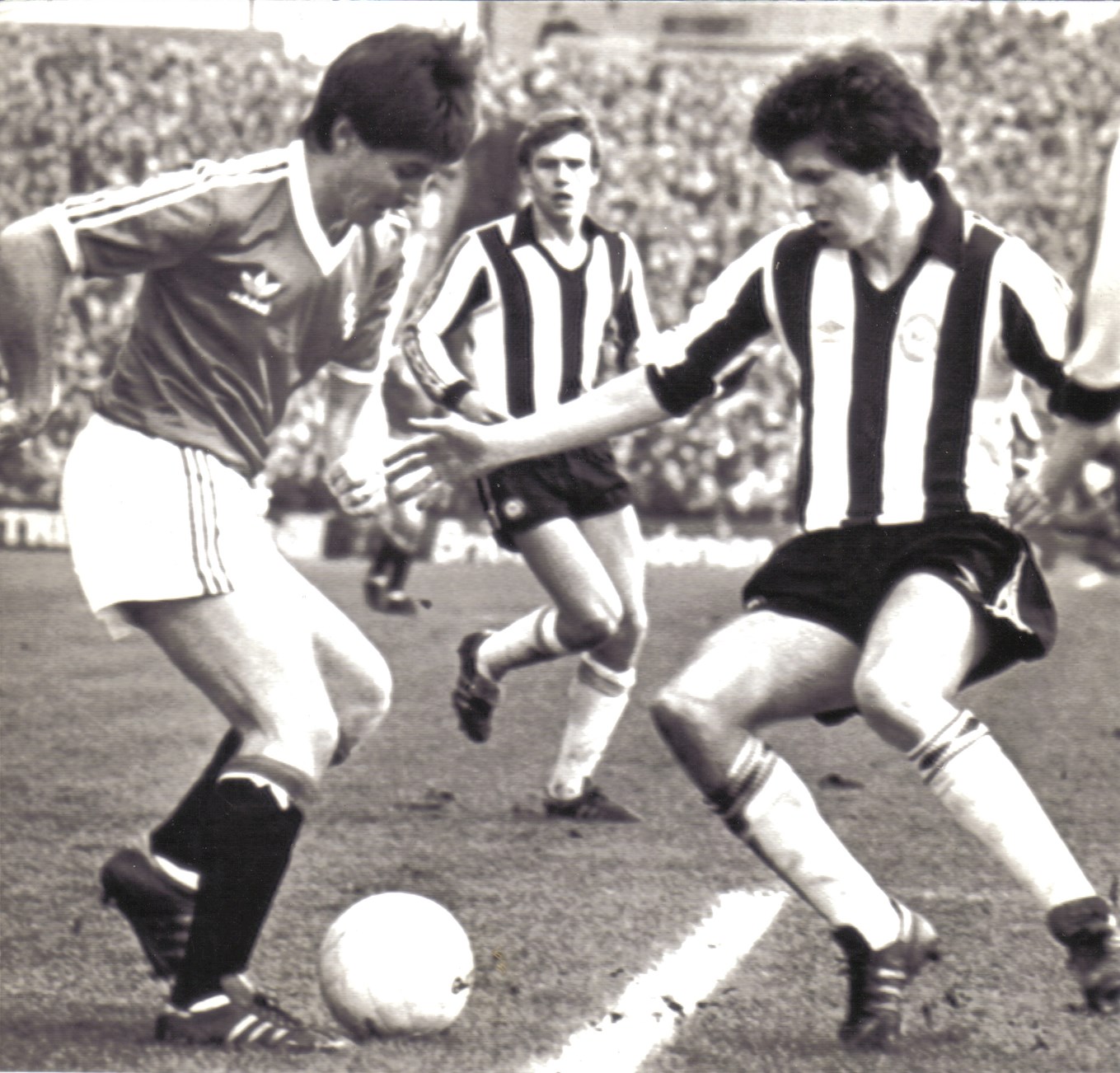 FA Cup New 81.jpg