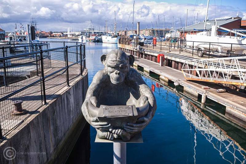 Hartlepoolmonkey.jpg