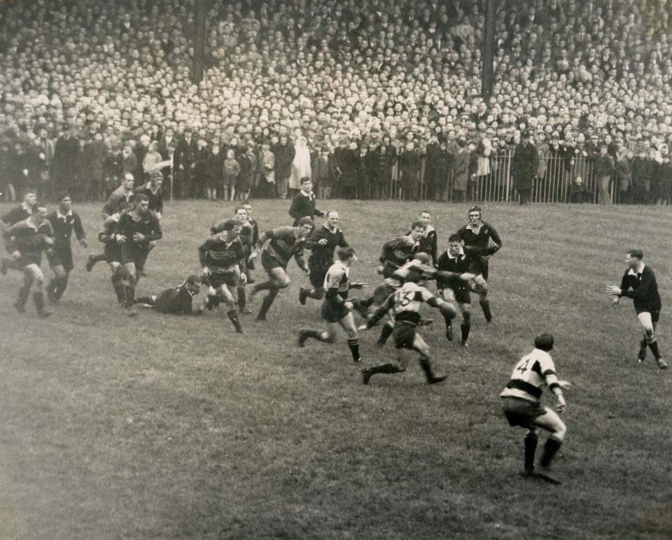 Newport Rugby.jpg